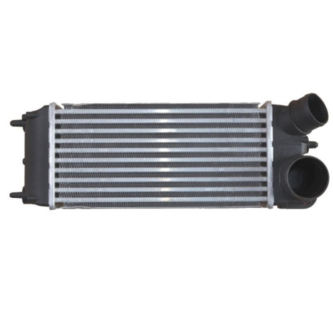 Intercooler 1.6 TDCI Ford...