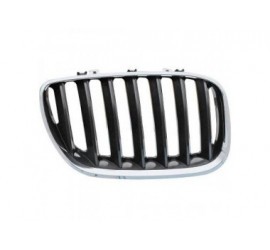 Grille-de-calandre-droit-BMW-X5-(E53)-03-07