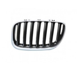 Grille-de-calandre-gauche-BMW-X5-(E53)-03-07