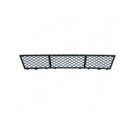 Grille-de-pare-choc-avant-centrale-BMW-Série-5-(F10)-10-13