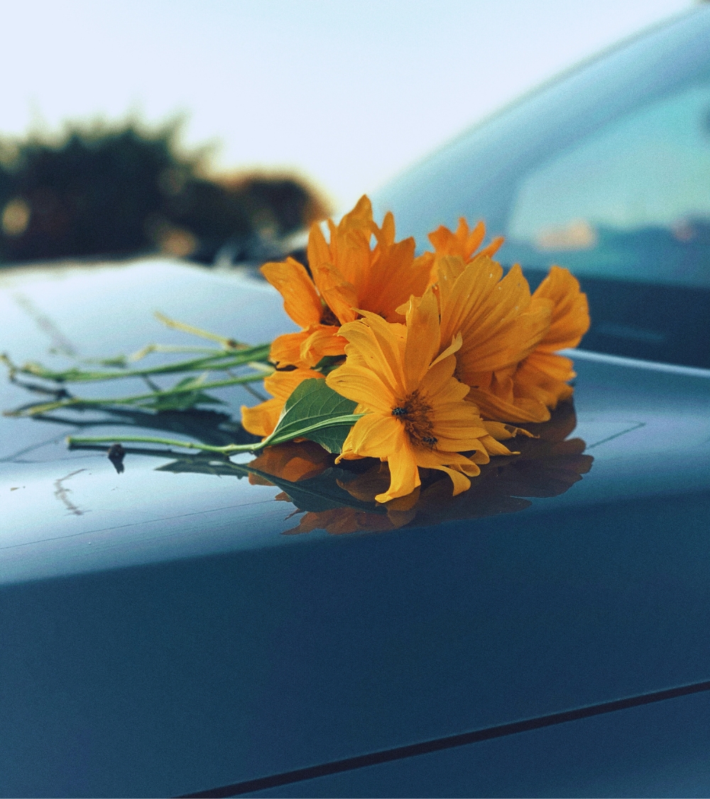 Vue rapprochée sur un capot de voiture avec un bouquet de fleurs